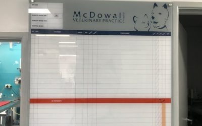 Custom Glass Whiteboard for Vet Clinic